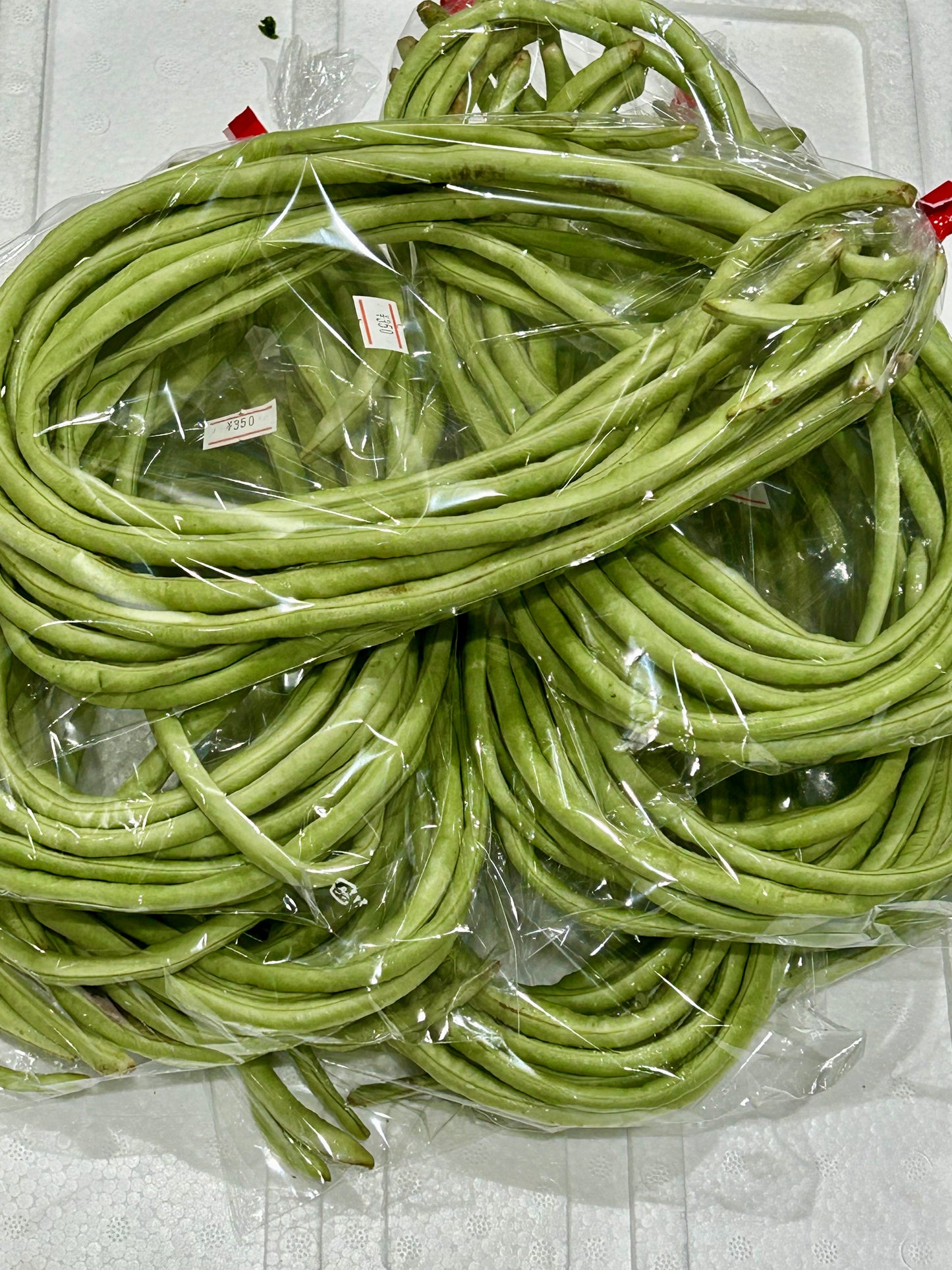 ပဲတောင့်ရှည် Long Bean