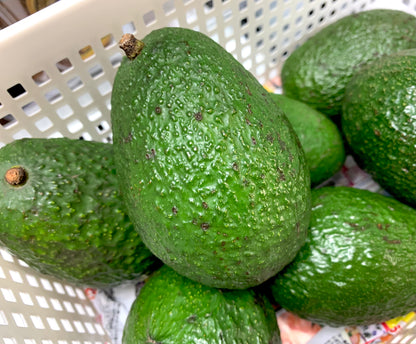 ထောပတ်သီး アボガド