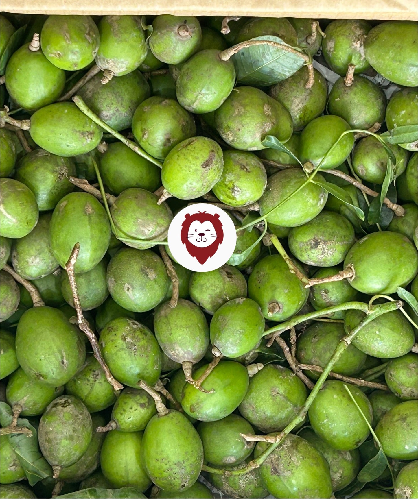 ဂွေးသီး Fresh Ambarella