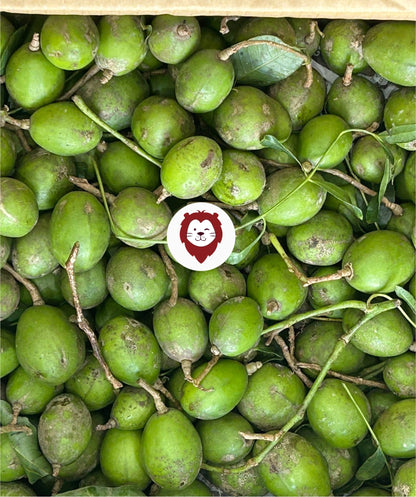 ဂွေးသီး Fresh Ambarella