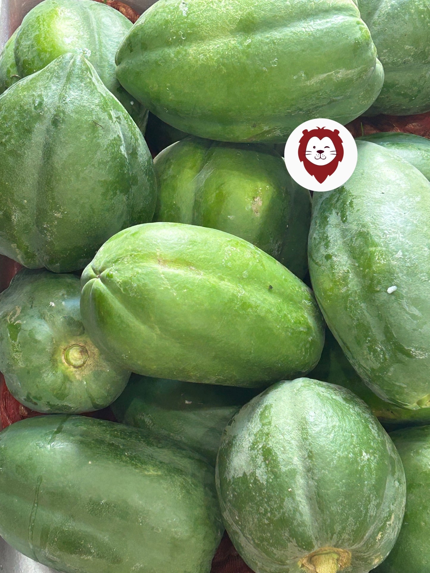 သင်္ဘောသီး Papaya