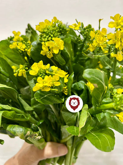 မုန်ညင်းပွင့် Mustard 400g