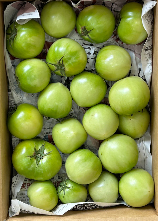ခရမ်းချဉ်သီးTomato