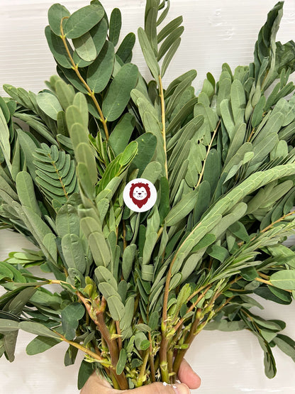 ပေါက်ပန်းဖြူရွက် (250g)