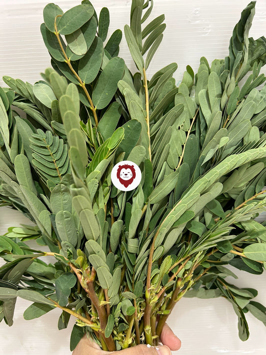 ပေါက်ပန်းဖြူရွက် (250g)