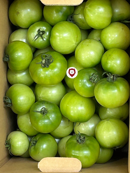 ခရမ်းချဉ်သီးTomato