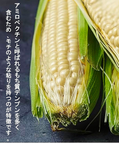 ပလို့ပြောင်း とうもろこ (1本)