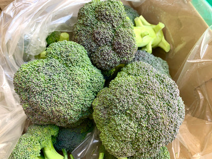 ဂေါ်ဖီပန်းပွင့်စိမ်း ブロッコリー