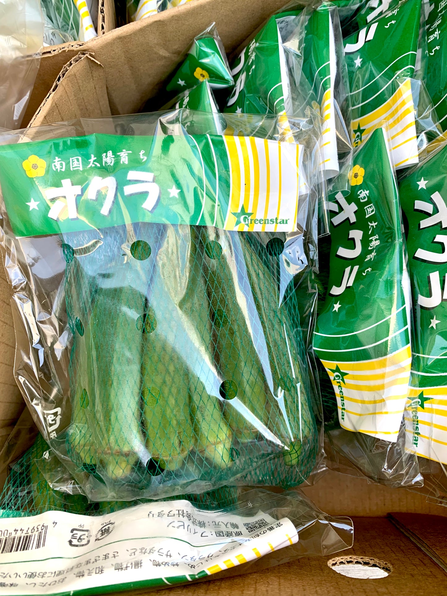 ရုံးပတီသီး オクラ