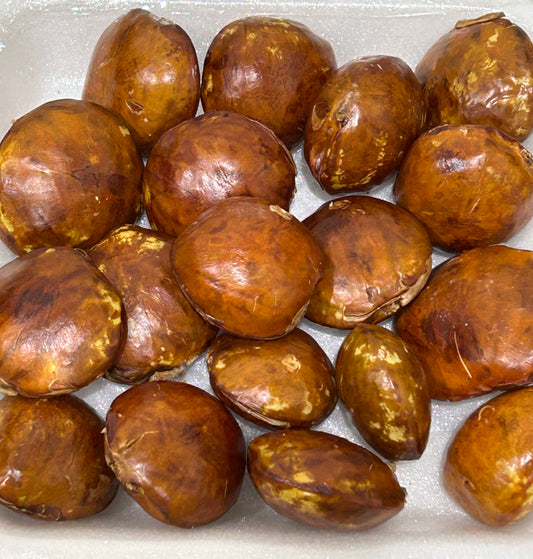 ဒညင်းသီးစိမ်း Raw Jengkol Bean