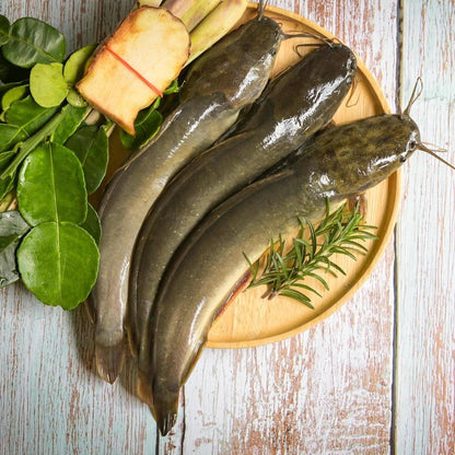 ငါးခူ Magur (Cat Fish) Whole with Tray