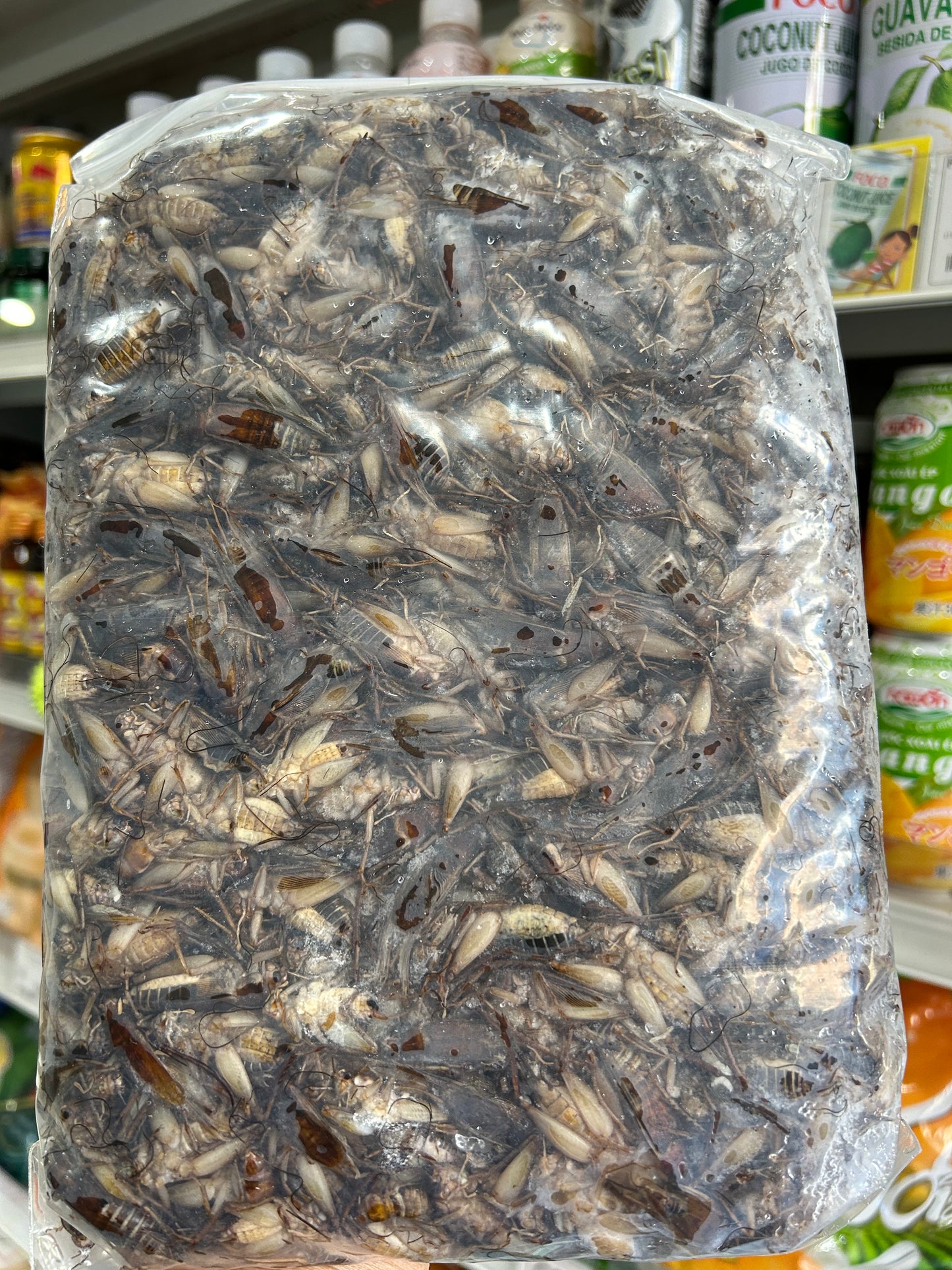 ပုရစ်အစိမ်း (500g) 冷凍