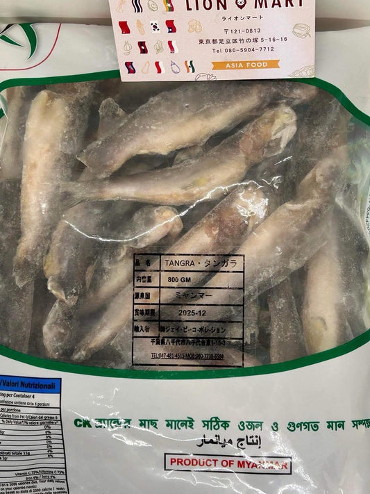 タンガラ800g Tengra JB ငါး ဇင်ရိုင်း