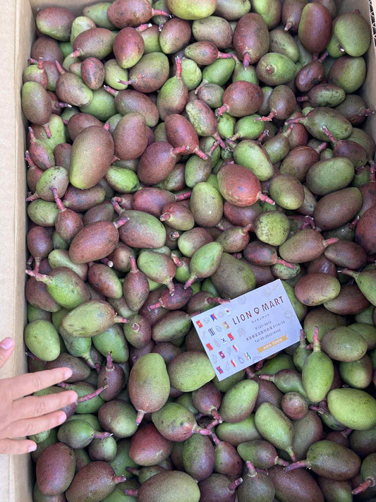 သရက်ကင်း (Large Size)