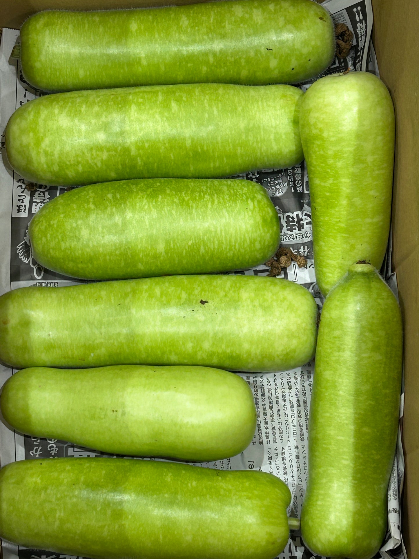 ဘူးသီး Gourd 夕顔