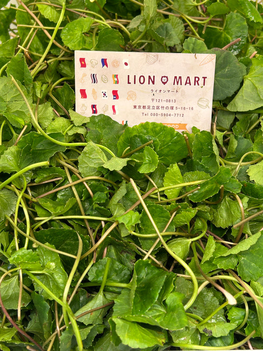 မြင်းခွာရွက် Pennywort (80g) ペニーワート