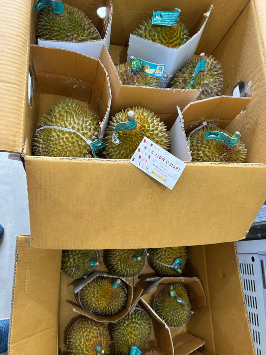 ထိုင်း ဒူးရင်းသီး (Thai Monthon Durian)
