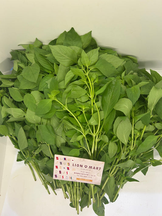 ပင်စိမ်း(50g) Basil Leaf