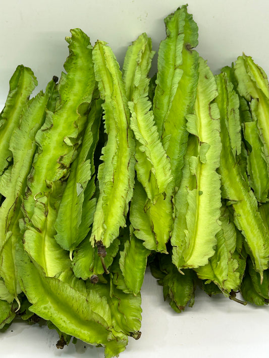 ပဲဇောင်းလျားသီး Winged Bean 250g