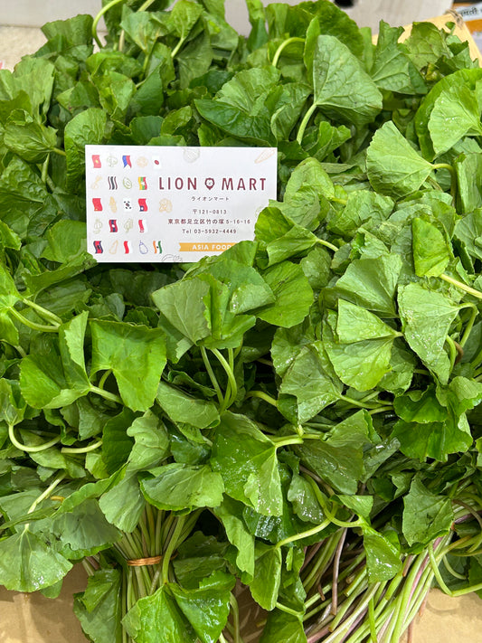 မြင်းခွာရွက် Pennywort (50g) ペニーワート