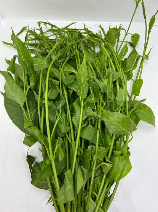 ဂွေးတောက်ရွက် (250g) Cotton Milk Plant Leaf