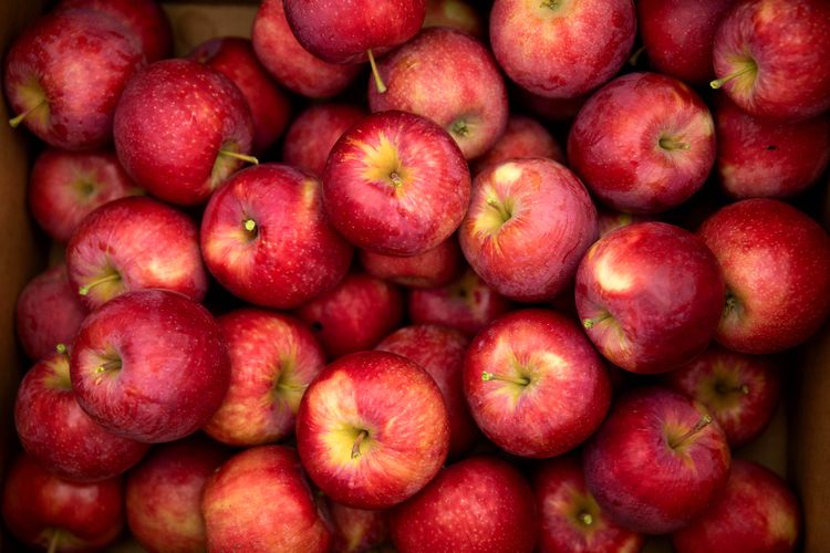 ပန်းသီး りんご