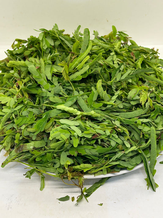 မန်ကျည်းရွက် (250g) Tamarind Leaf