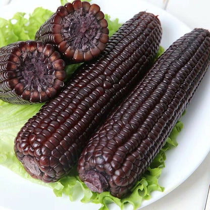 ငချိတ်ပြောင်း