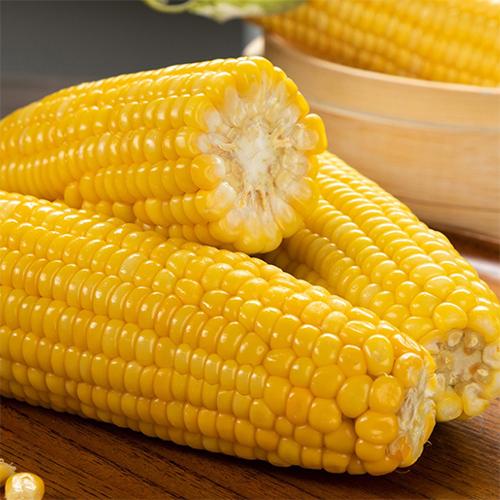 ပလို့ပြောင်း (အဝါ)