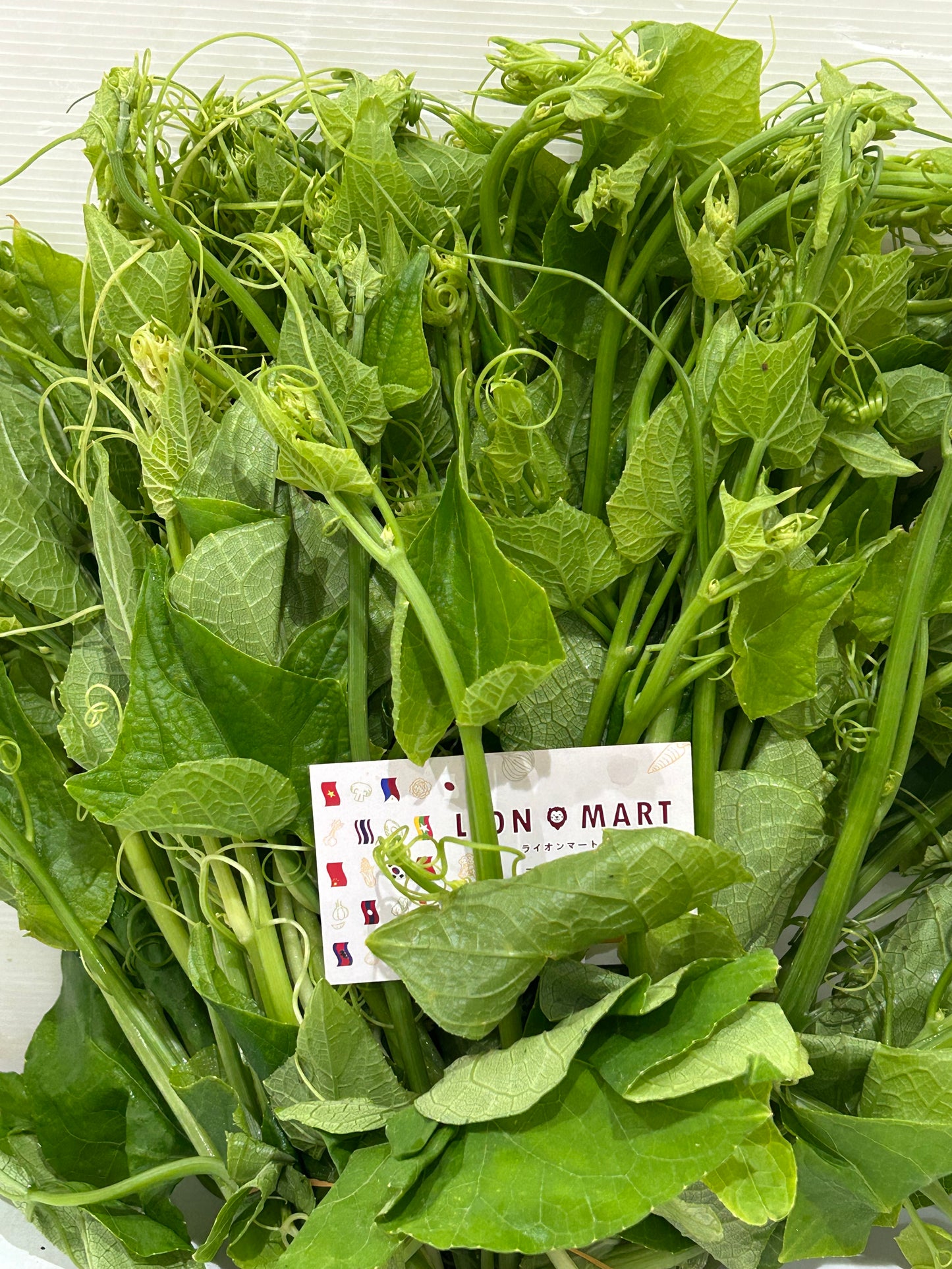 ဂေါ်ရခါးညွန့် 200g