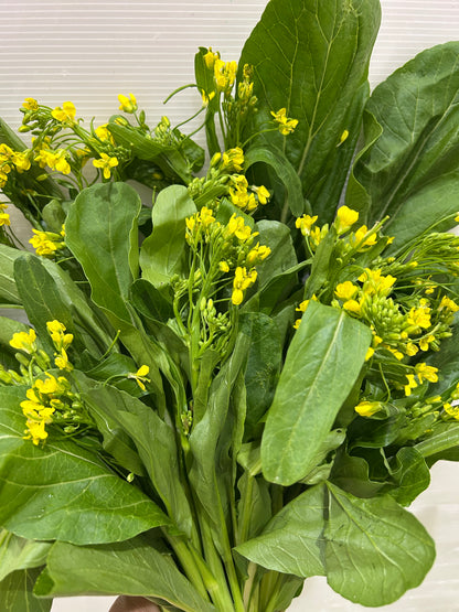 မုန်ညင်းပွင့် Mustard 500g