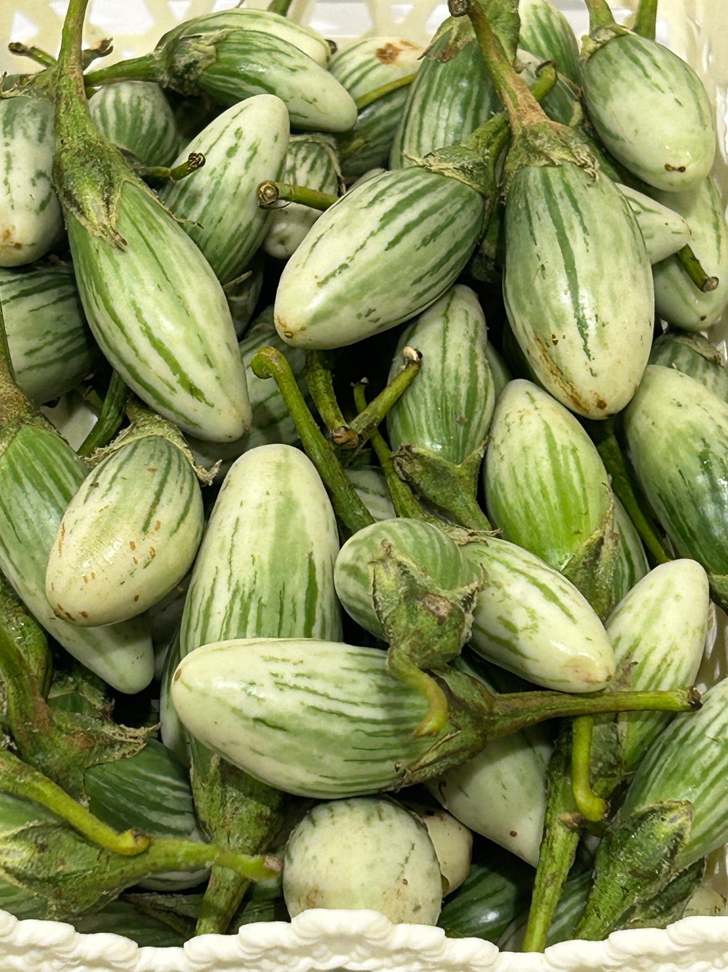 ခရမ်းသီး အသေး