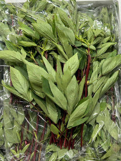 ချဉ်ပေါင်ရွက် 250g~ (with stalk)