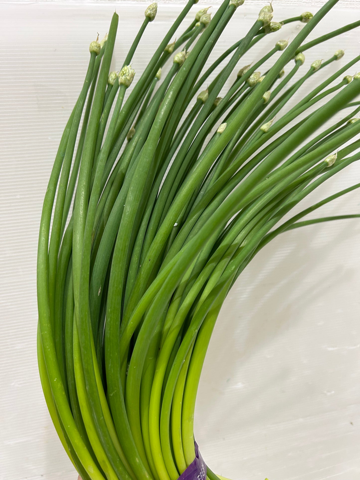 ကြက်သွန်ဖူး  100g