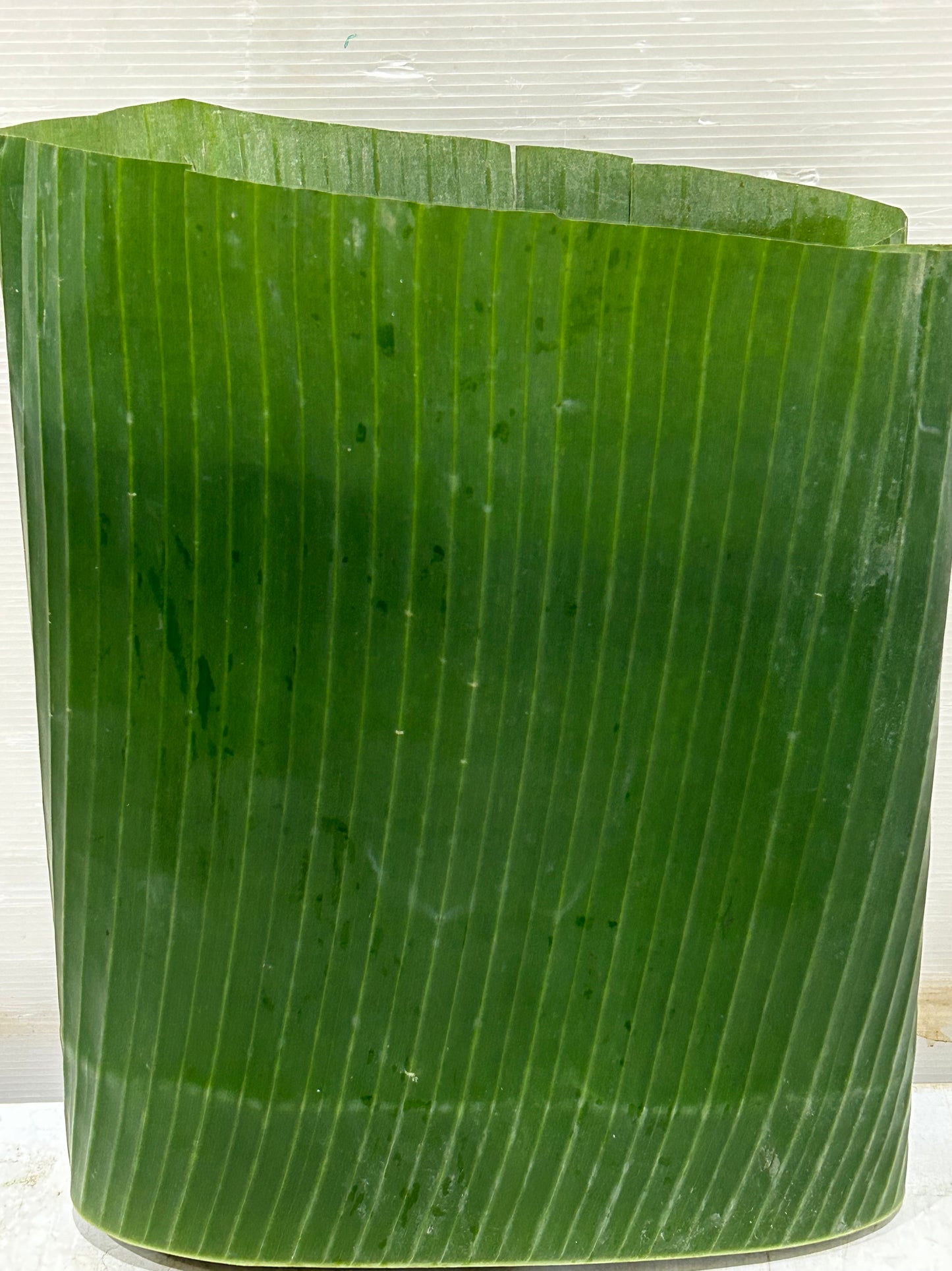 ငှက်ပျောရွက် Banana Leaf (500g)