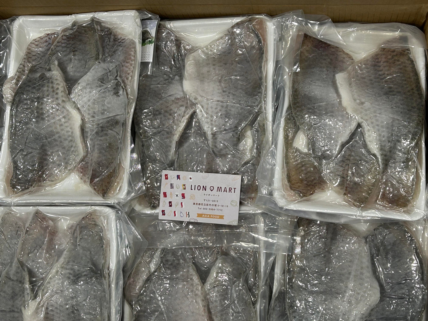 Frozen Tilapia Fillet တီလားဗီးယား အသားလွှာ